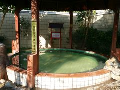 -金穗园温泉酒店