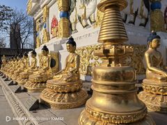 -护国法轮寺