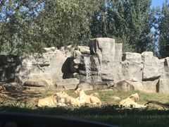 -北京野生动物园