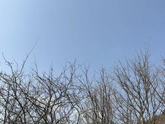 -秦岭风景区