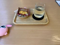 -颜和骨正·明哲式骨相美学整骨