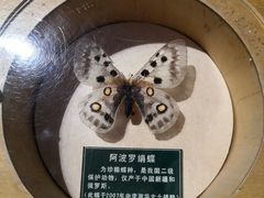 -陕西自然博物馆