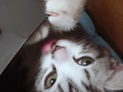 -达爱动物医院·犬猫分区·CT·复杂眼科(远洋山水分院)