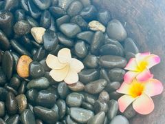 -泰禾馨·泰式按摩精油SPA(华荣大厦店)