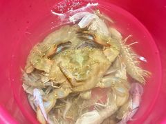 -日照世帆赛基地