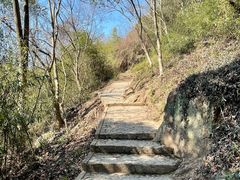 -上海佘山国家森林公园天马山园