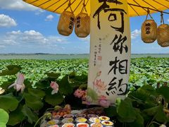 -七的湖·晚芳亭·阳澄湖农家菜·大闸蟹(莲花岛店)