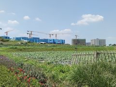 -光明小镇欢乐田园