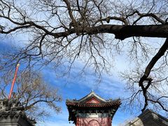-北京艺术博物馆(万寿寺)