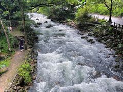 -广州市石门国家森林公园