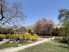 -鲁土司衙门旧址