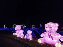 -大塘金香草谷
