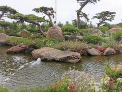 -罗红摄影艺术馆