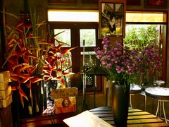 -Dash Teak House