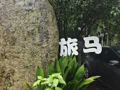 -旅马餐厅(茅家埠店)