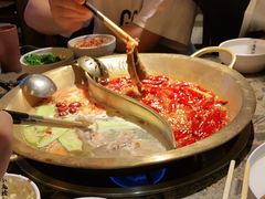-小龙坎火锅(春熙太古里店)