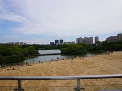 -青枫公园
