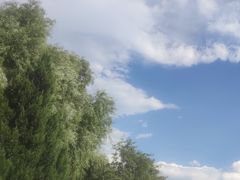 -东方巨龟苑景区