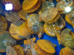 -巽寮印象美食部落餐厅·海鲜·地方特色菜(惠州体验店)