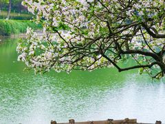 -全季酒店(重庆上清寺牛角沱地铁站店)