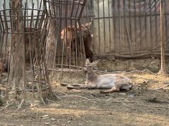 -无锡动物园·太湖欢乐园