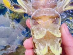 -凯华海鲜火锅·传承三十六年