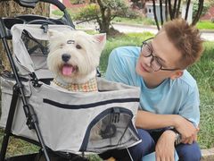 -南岳衡山风景名胜区-南岳大庙