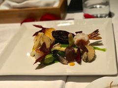 -蝶舍·MAISON PAPILLON