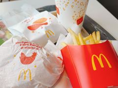 -麦当劳(金平路站店)