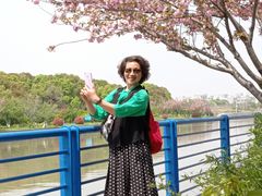 -高东镇樱花园