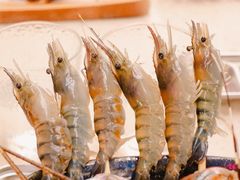 -白仁仔· 活烤海鲜 宵夜(豫园店)