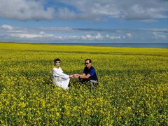 -青海湖国家重点风景名胜区