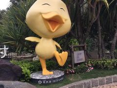 -厦门日月谷温泉渡假村