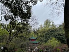 -岳麓山风景名胜区