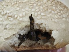 -福清滑(乐南公寓店)