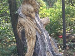 -原山国家森林公园