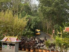 -西双版纳勐泐文化旅游区