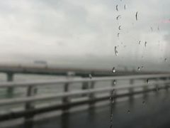 -演武大桥观景平台