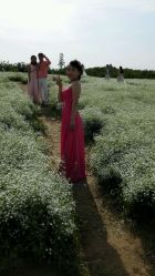 android_upload_pic-完美新娘婚纱摄影