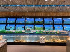 水产区-石浦大酒店(百丈店)
