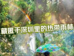 -青青世界