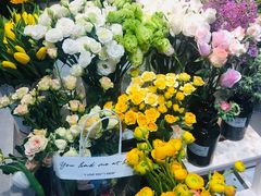 -植物学家的女儿(北马道巷店)