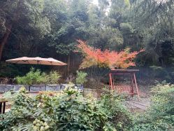 -尚圣月子会所·庄园式月子中心(萧山湘湖店)