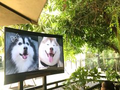-TrueLove @ Neverland (Husky Cafe)