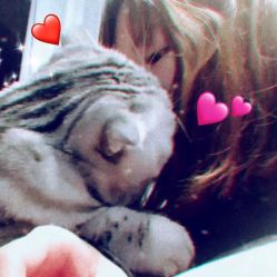 -飛凡TATTOO纹身•原创