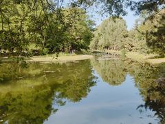 -长白岛森林公园