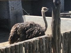 -晶宝温泉农庄