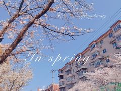 -永乐路-路侧停车场