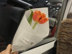 -大树餐厅(红旗街万达店)