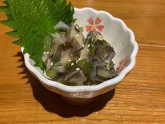 芥末章鱼-有喜屋·鲜鸡板前烧鸟(徐家汇店)